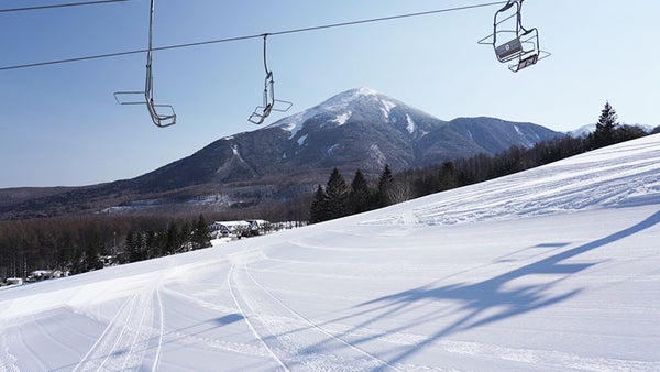 【新宿朝発】ぶっとび!日帰りスキー&スノボ|しらかば2in1スキー場(リフト券付)2